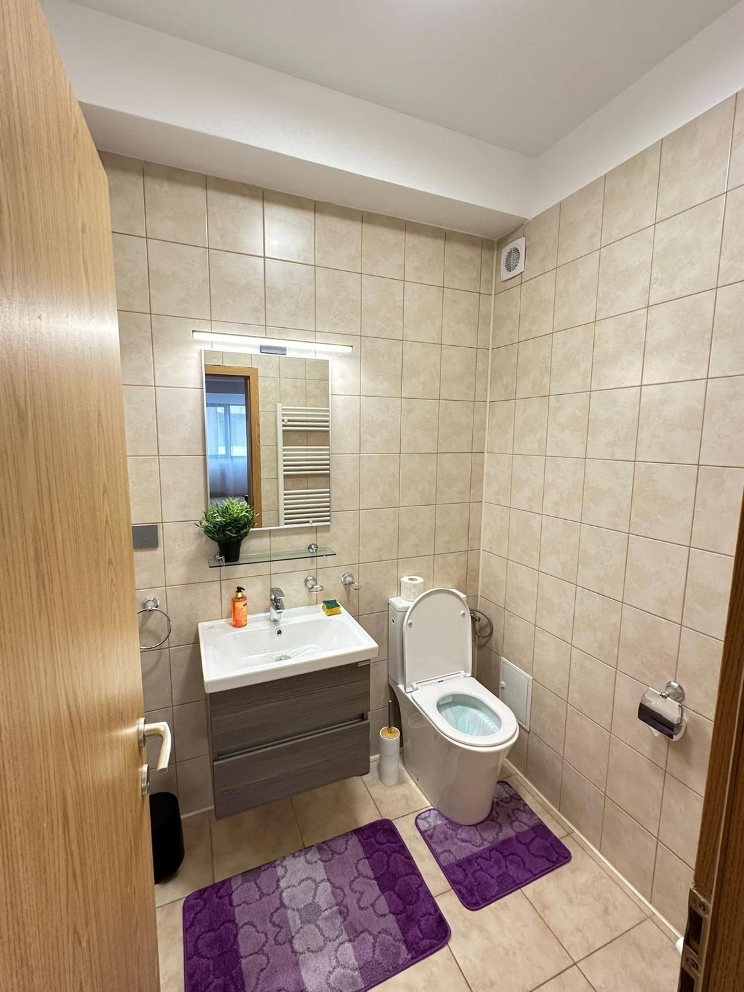 Centru Unirii Luxury VIP Palmier: Two-Room Apartment with Terrace Bucharest Exterior photo